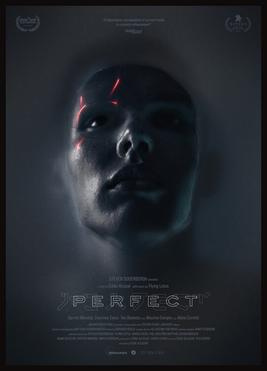 Movies You Should Watch If You Like Perfect (2018)